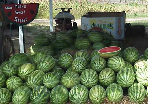 Sweet, juicy watermelons, and locally grown produce at Mark's Melon Patch near Albany Georgia.