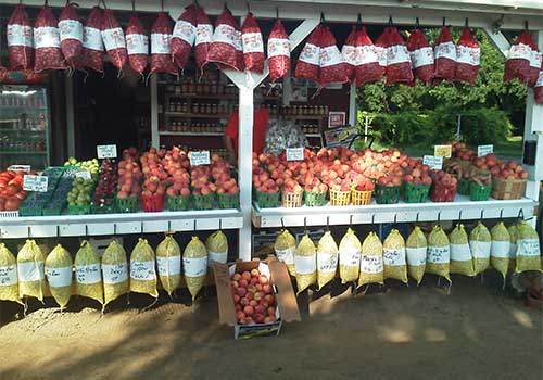 Explore the Farm Market at Mark's Melon Patch, melons, family fun, and locally grown produce near Albany Georgia