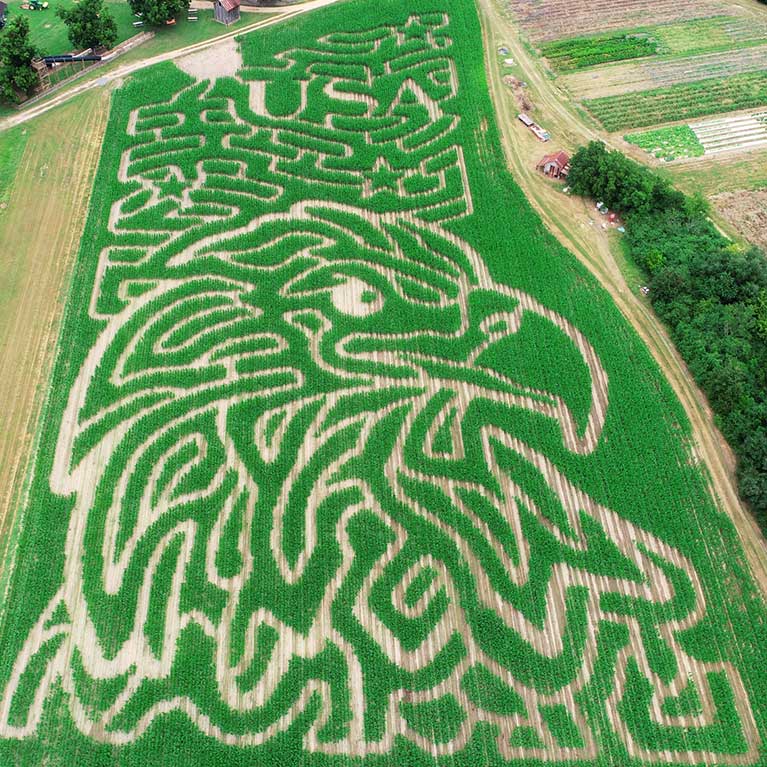 Huge corn maze, pumpkins, locally grown produce and more at Mark's Melon Patch near Albany Georgia